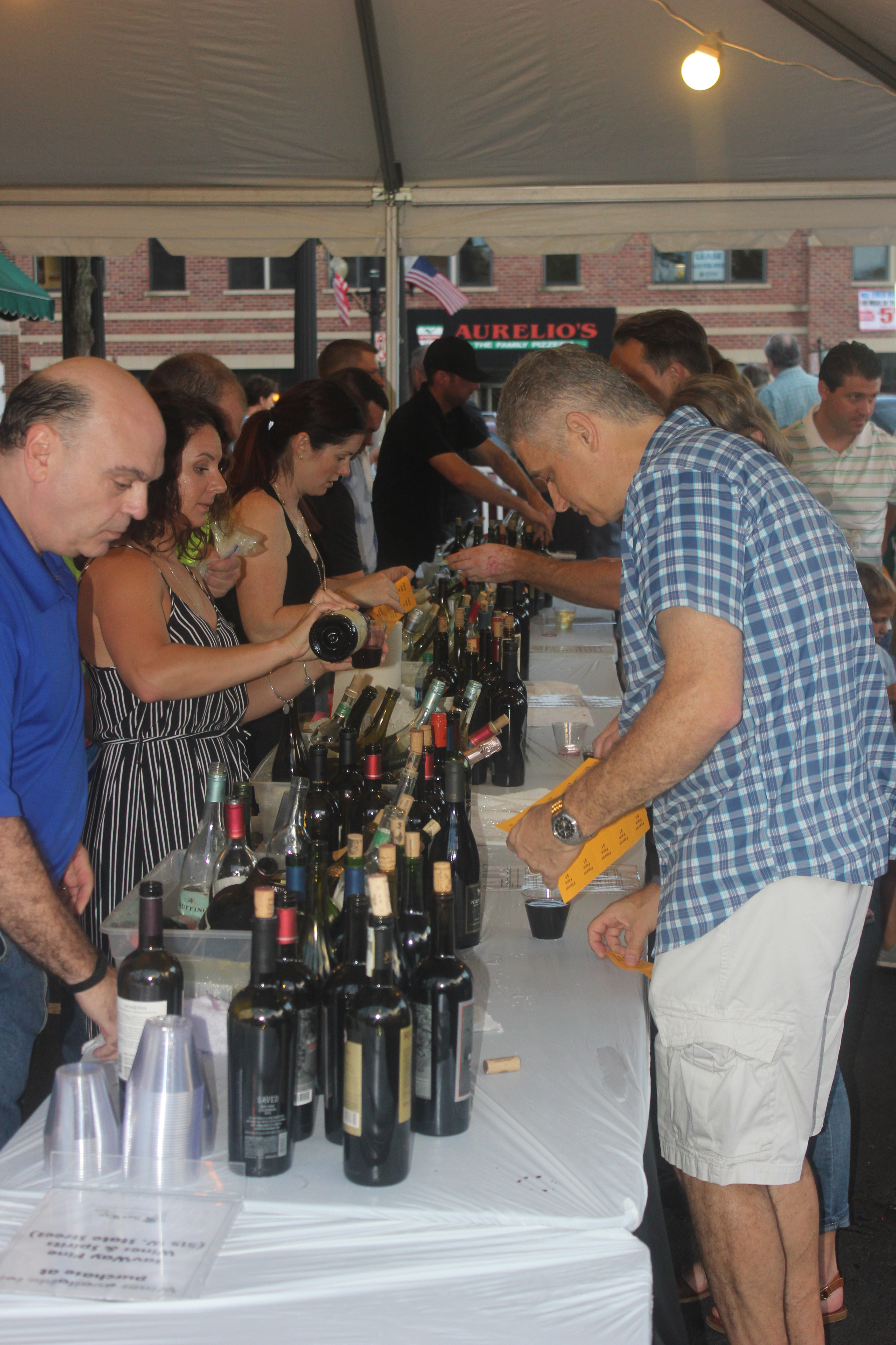 Festival of the Vine 2016 223